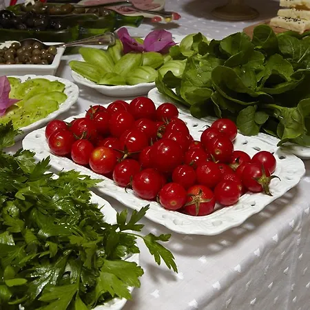 Incirliev - Special Category Szálloda