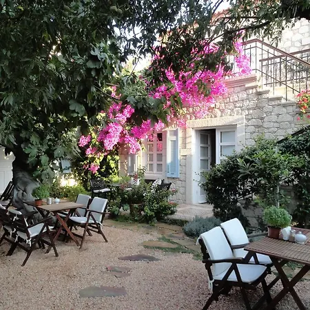 ホテル Incirliev - Special Category アラカティ