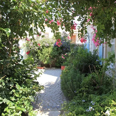 Incirliev - Special Category 2*