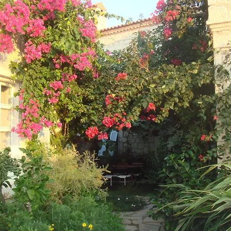 Incirliev - Special Category 2* アラカティ