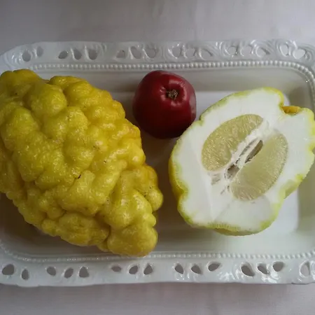 Incirliev - Special Category Alacati