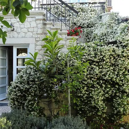 因克里尔弗-特别类型酒店 酒店 阿拉恰特