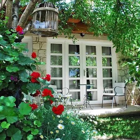 因克里尔弗-特别类型酒店 酒店 2*