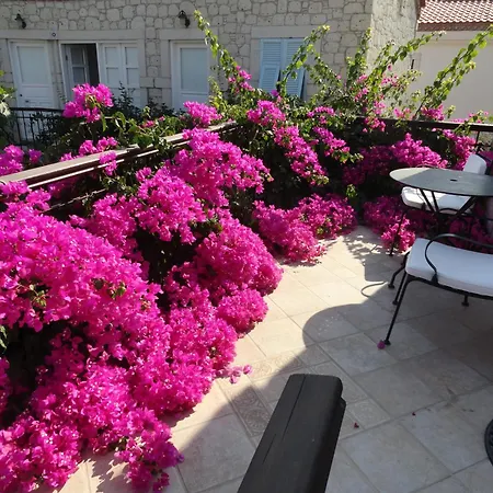 Incirliev - Special Category Alacati
