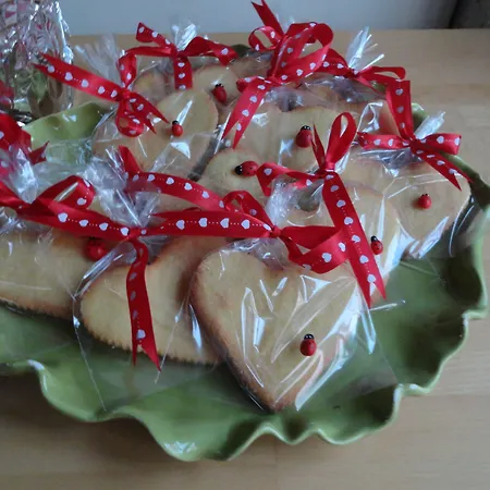 因克里尔弗-特别类型酒店 酒店 阿拉恰特