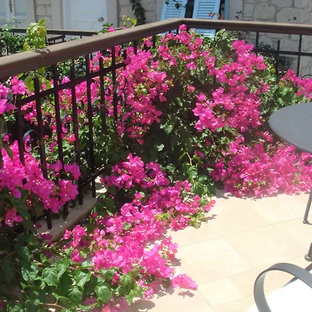 因克里尔弗-特别类型酒店 酒店